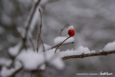 A berry with a hat.