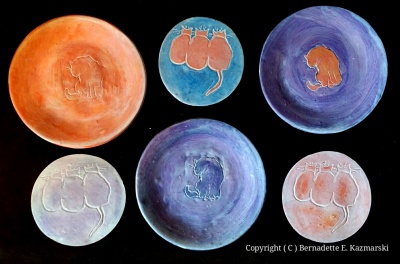 A new set of dishes and coasters.