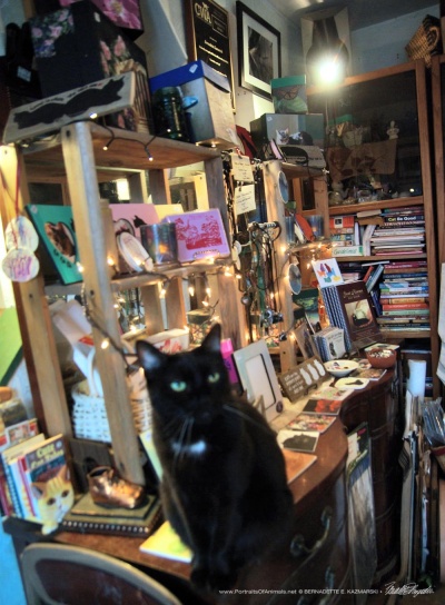Jelly Bean says, "Here is the stuff."