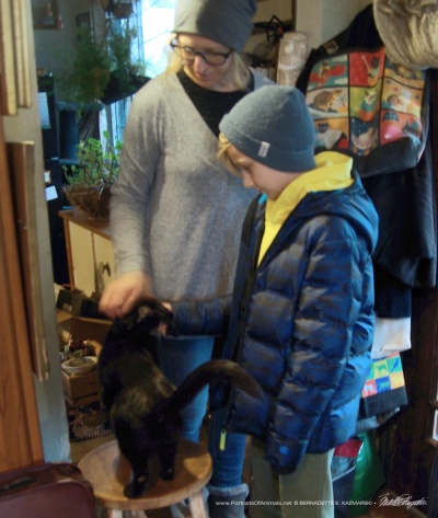 Giuseppe was the greeting cat.