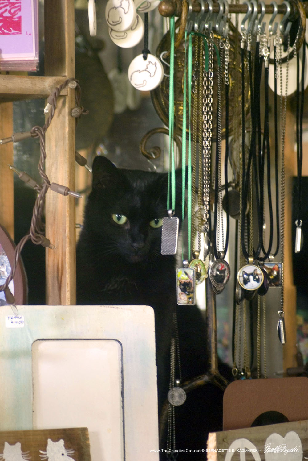 Bella likes to hide behind the cabochons.