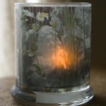 Angel Daisies Votive