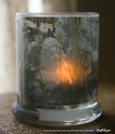 Angel Daisies Votive