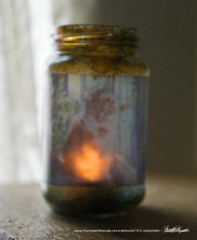 Impressionist Votive, Late Winter Sunbath