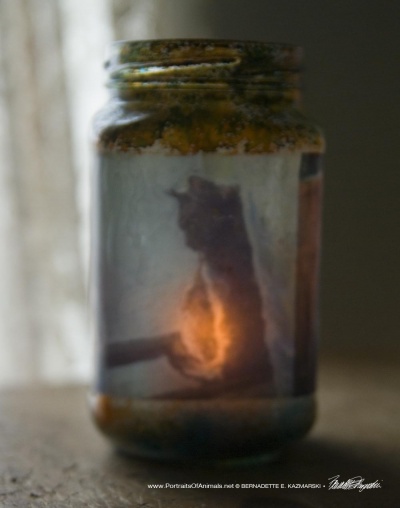 Impressionist Votive, Spring Morning
