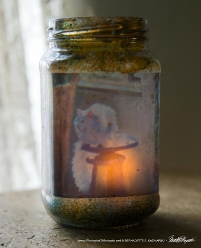 Impressionist Votive, White Cat Reflecting