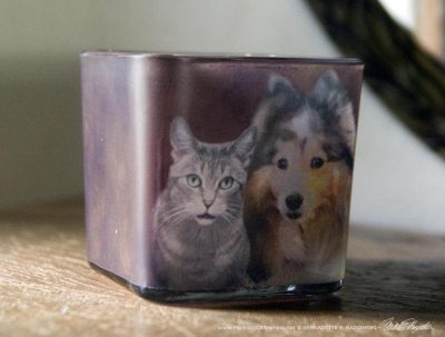 Cody and Dakota without votive