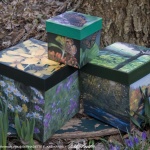 Three from the set of "Found Along the Panhandle Trail" keepsake boxes.