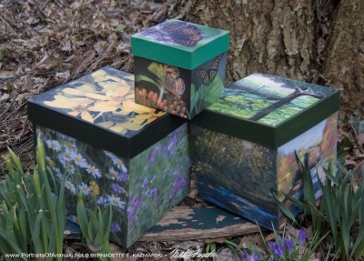 Three from the set of "Found Along the Panhandle Trail" keepsake boxes.