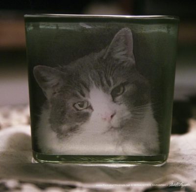 custom pet memorial votive