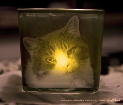 custom pet memorial votive