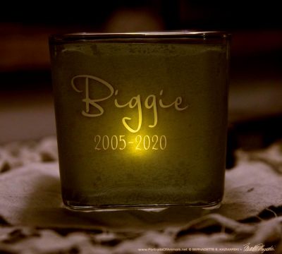 custom pet memorial votive