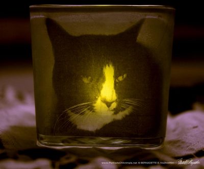 custom pet memorial votive