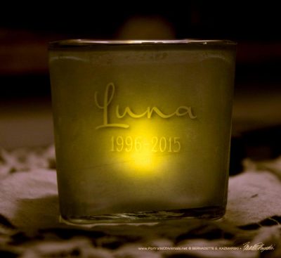 custom pet memorial votive