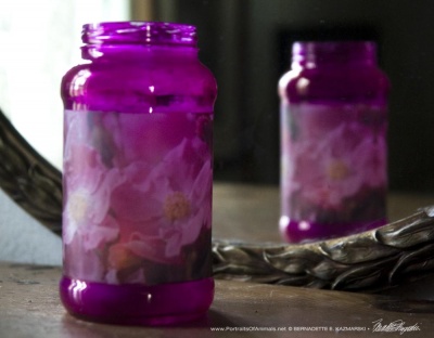 Pink Roses Votive