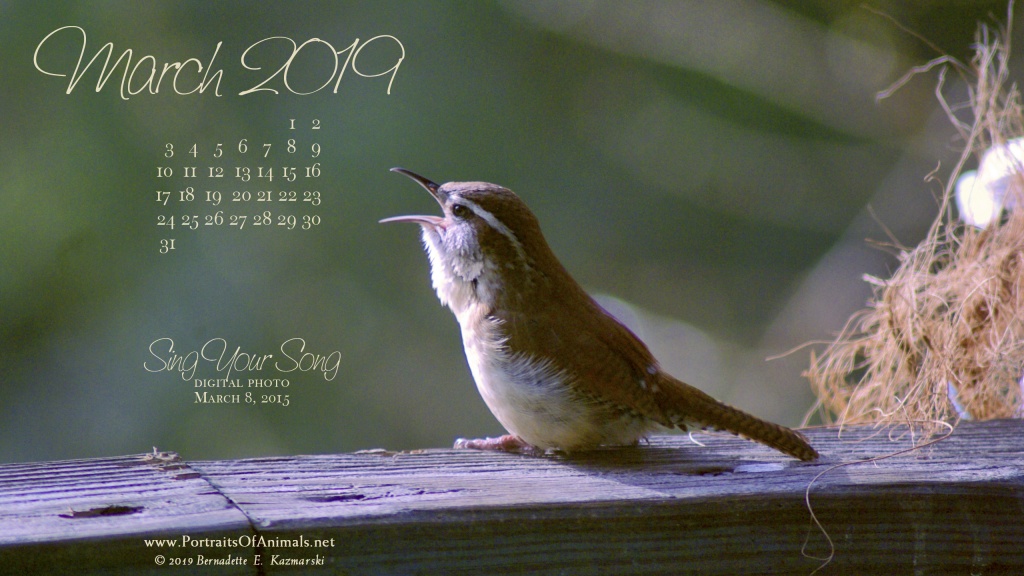 Desktop calendar 2560 x 1440 for HD and wide screens.