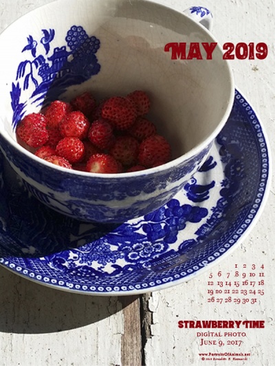 Desktop calendar, 600 x 800 for large mobile devices and tablets.
