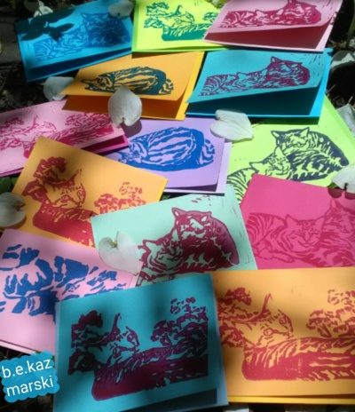 Tabbies, a selection of colors.