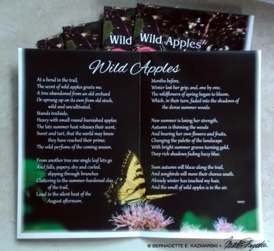 The featured poem.