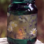 Daisies and Hyssop votive