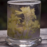 St. John's Wort Votive, Small
