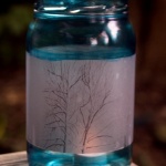 Sycamore Moon votive