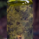 Woodland Sunflowers votive, tall
