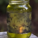 Dancing Woodland Sunflowers votive