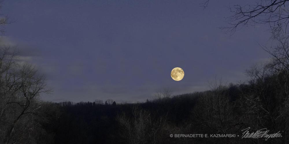 christmas moon