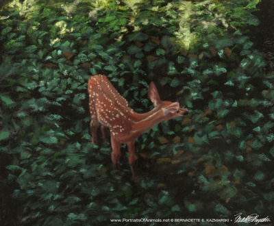 pastel painting of fawn in shade