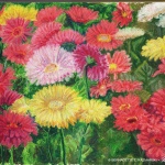 oil pastel painting of gerbera daisies