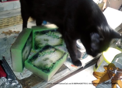 black cat with pet loss memorial gifts