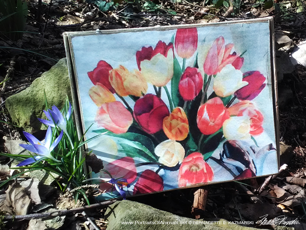 keepsake box