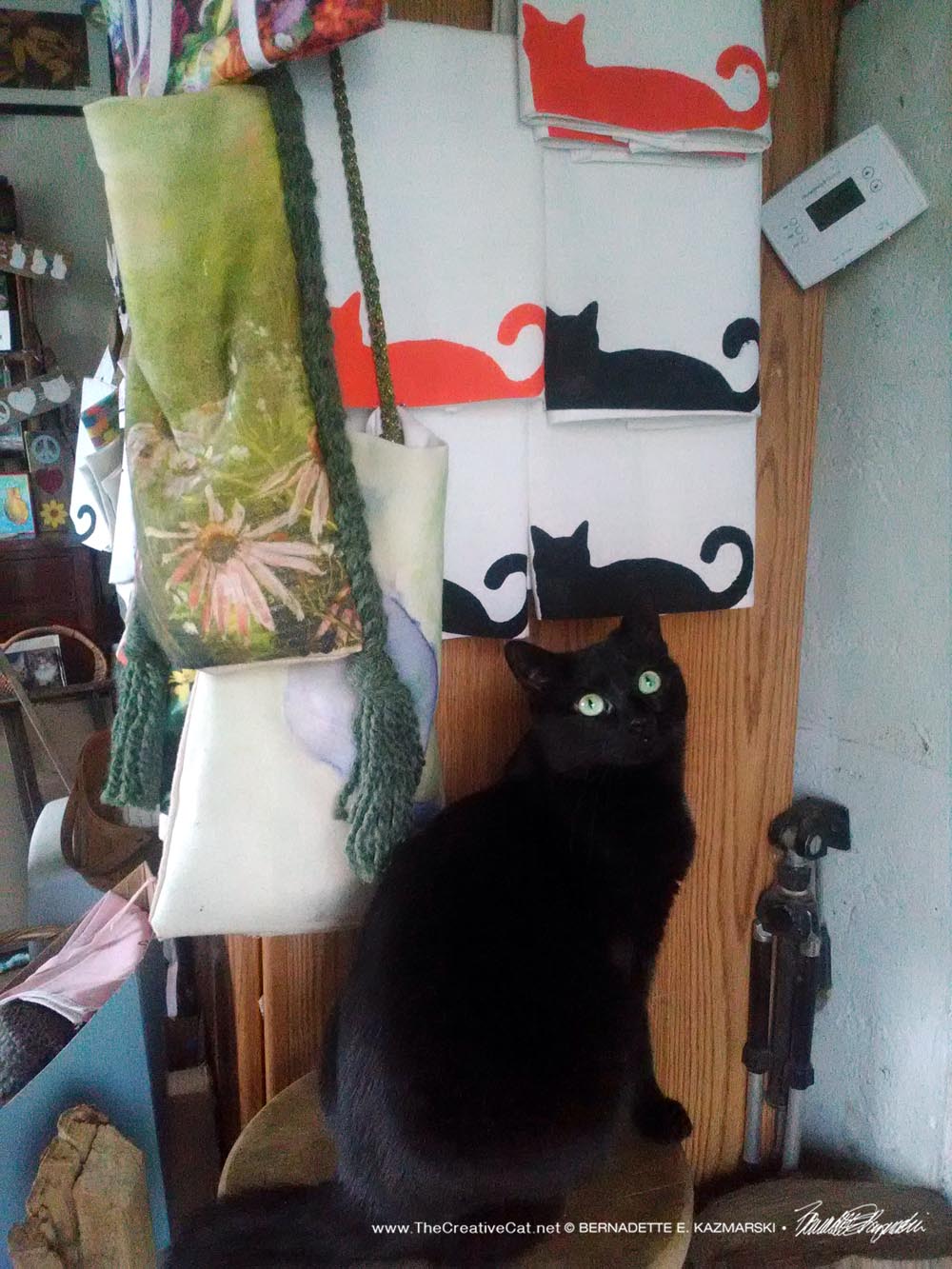 black cat with black cat designs