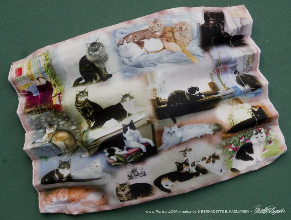 22 Cats Face Mask