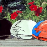 Big Nap Decorative Dishes