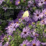 Desktop calendar, 1280 x 1024 for square and laptop monitors.