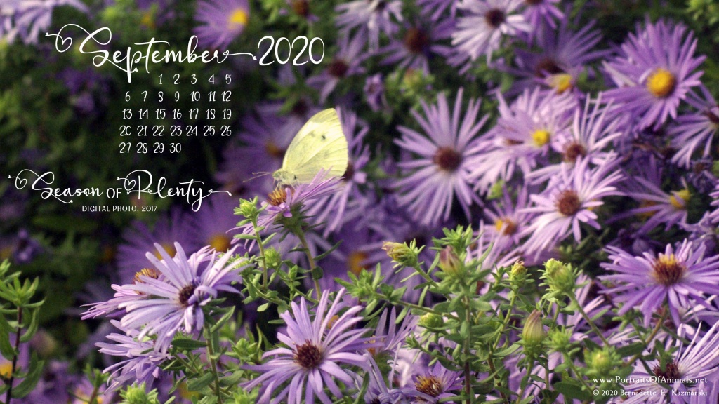 Desktop calendar 2560 x 1440 for HD and wide screens.