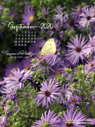Desktop calendar, 600 x 800 for large mobile devices and tablets.