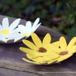 Decorative Dishes Inspired By Wildflowers
