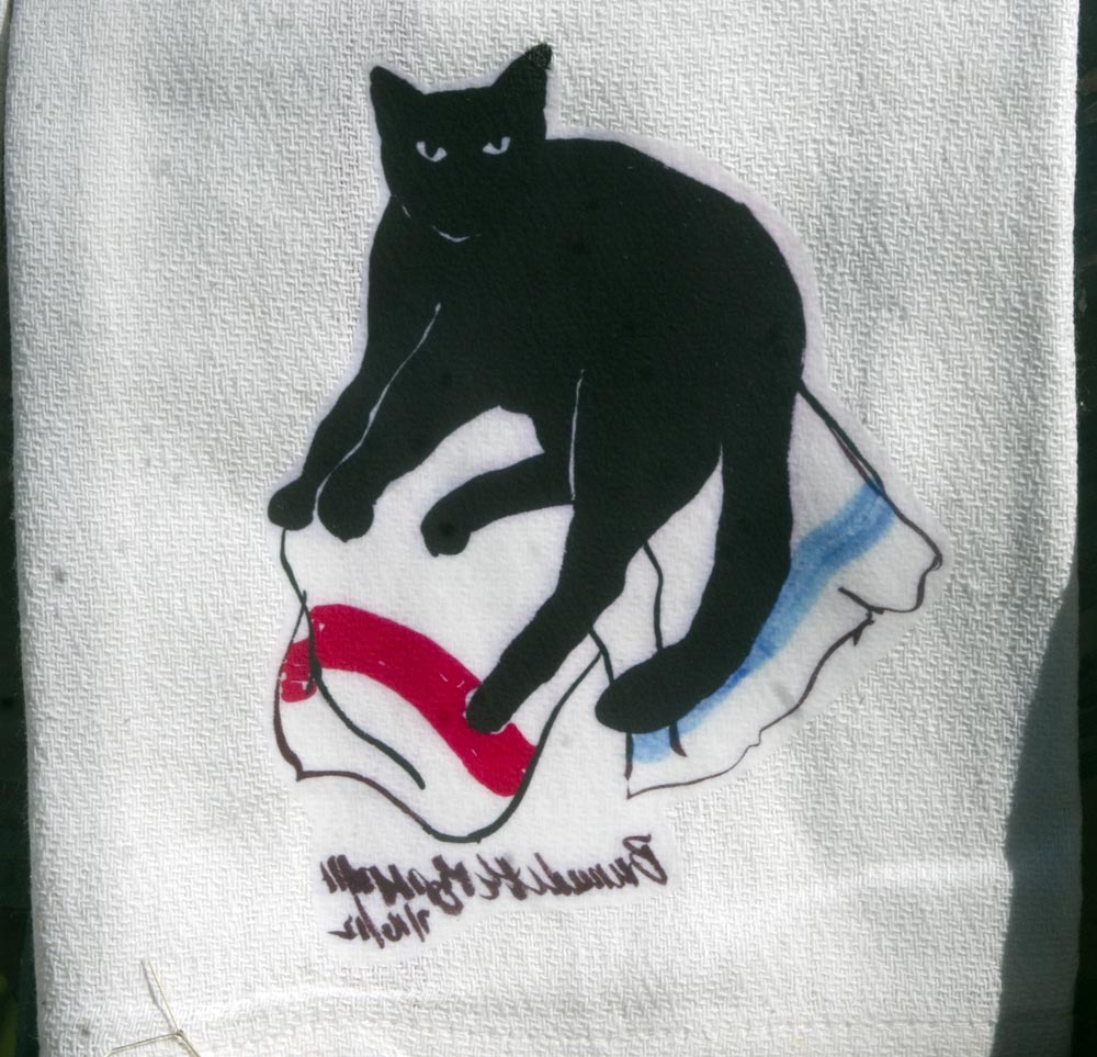 Lounging on the Dishtowels