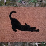 silhouette of cat scratching