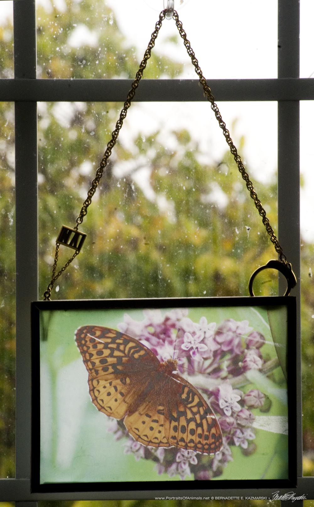 Butterfly on Milkweed Suncatcher