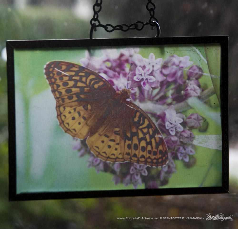 Suncatcher in recycled picture frame