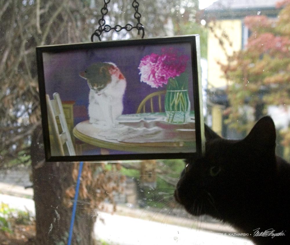 Suncatcher in recycled picture frame