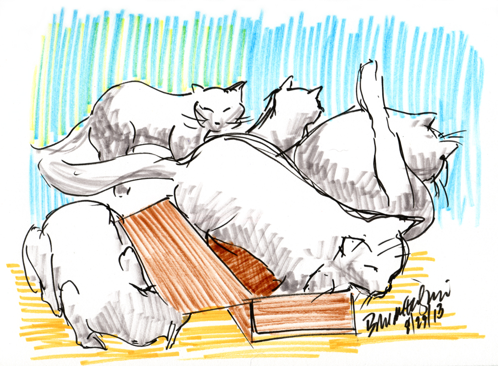 “Five Cats and One Box”, brush markers, 6.5″ x 9″ © Bernadette E. Kazmarski