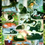 cat artwork garden flag