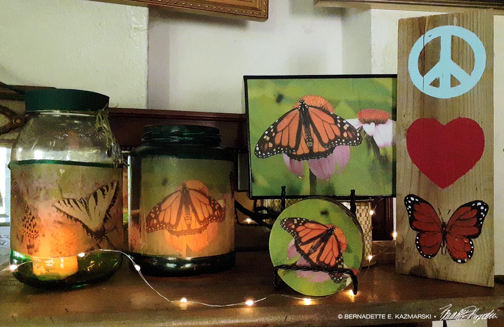 display of monarch butterfly items