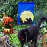 Mimi models the new garden flag.
