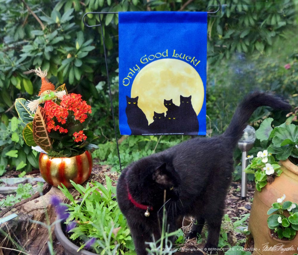 Mimi models the new garden flag.